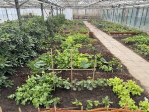 1 - Plant, dier- en milieu (2u)